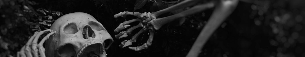 My blog